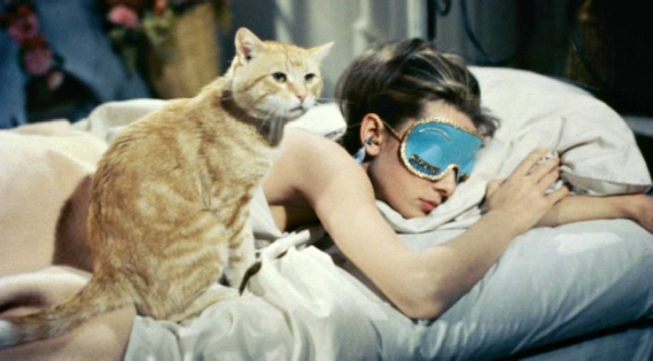 Orangey cats alarm, Hepburn cum sleep mask in ‘Breakfast’