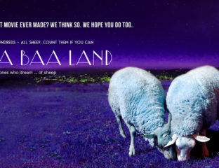 In our fast-paced world, it can be hard to find a moment for peace and reflection. But that’s exactly why filmmakers have created 'Baa Baa Land'.