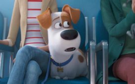 'The Secret Life of Pets 2' answers the question every pet owner has: What are your pets really doing when you’re not at home?