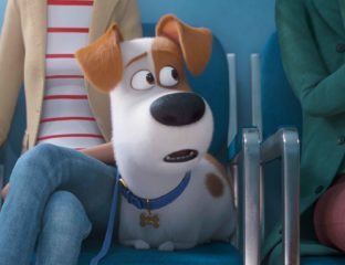 'The Secret Life of Pets 2' answers the question every pet owner has: What are your pets really doing when you’re not at home?