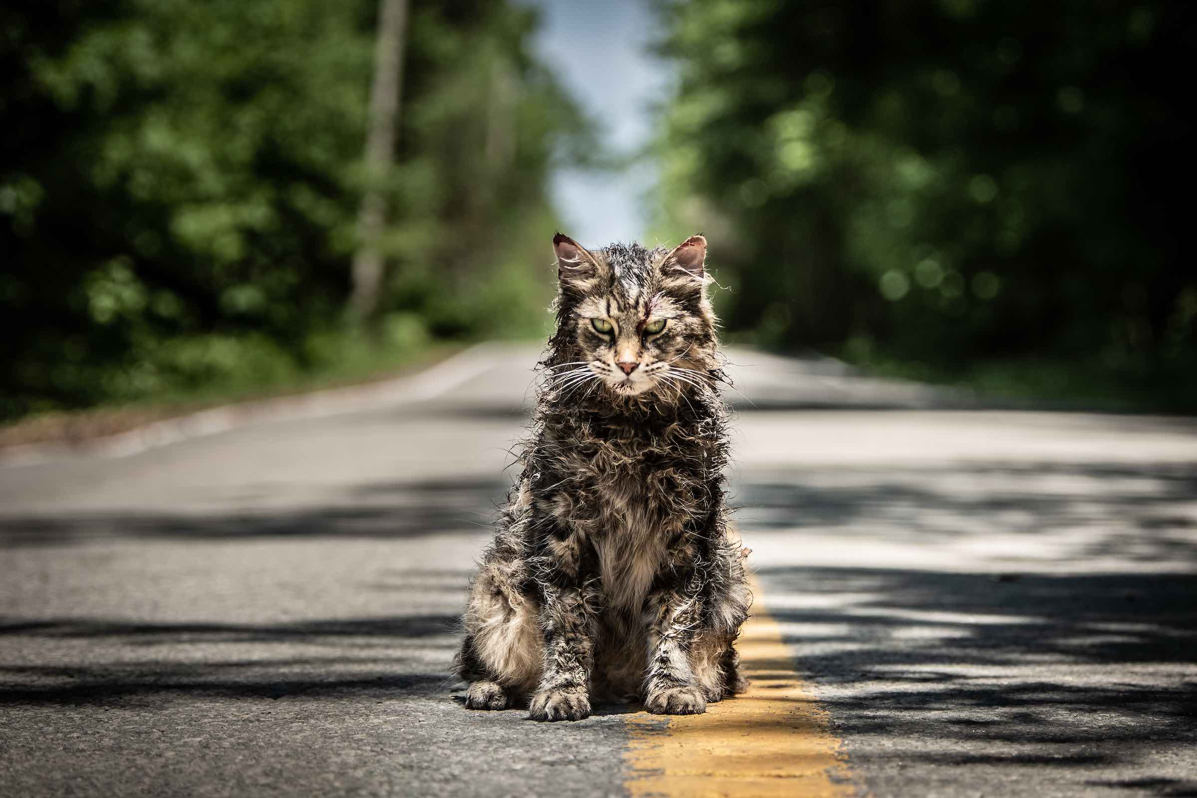 Hollywood remakes are a bad idea. We look at 'Pet Sematary' and other remakes that were dead on arrival.