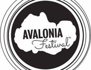 The Avalonia Festival largely focuses on short films under 21 minutes, webseries, and TV shows in a wide range of categories.