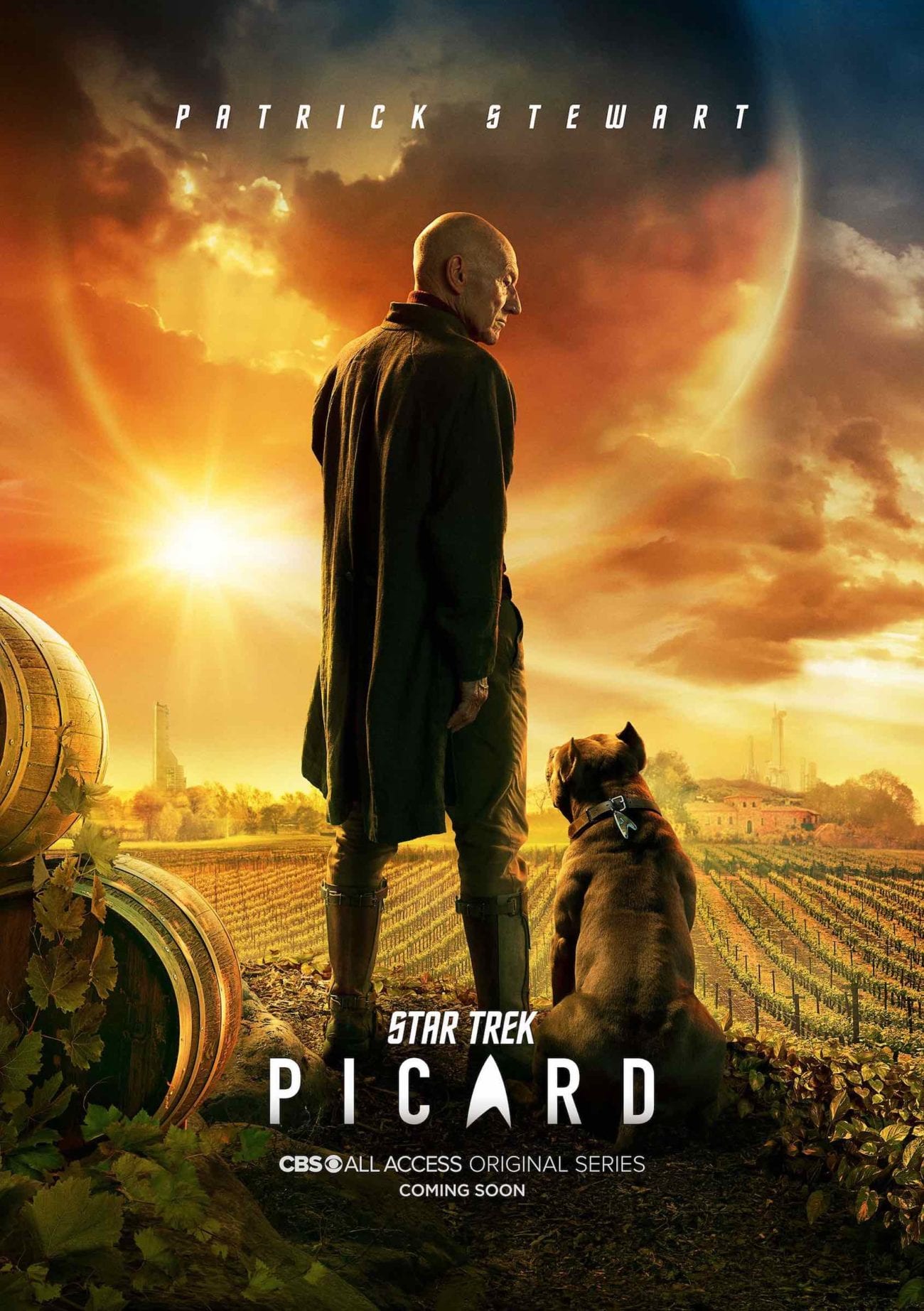 We came up with a few things 'Star Trek: Picard' could borrow from its predecessors to thrill us, 'Star Trek: The Next Generation'.