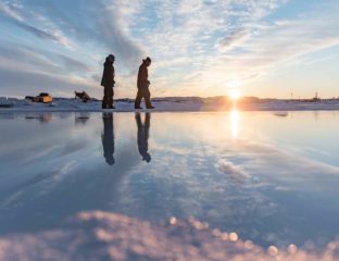 If you’re a nature lover who also happens to love film, you’ll definitely want to check out NatureTrack Film Festival. Here's why.