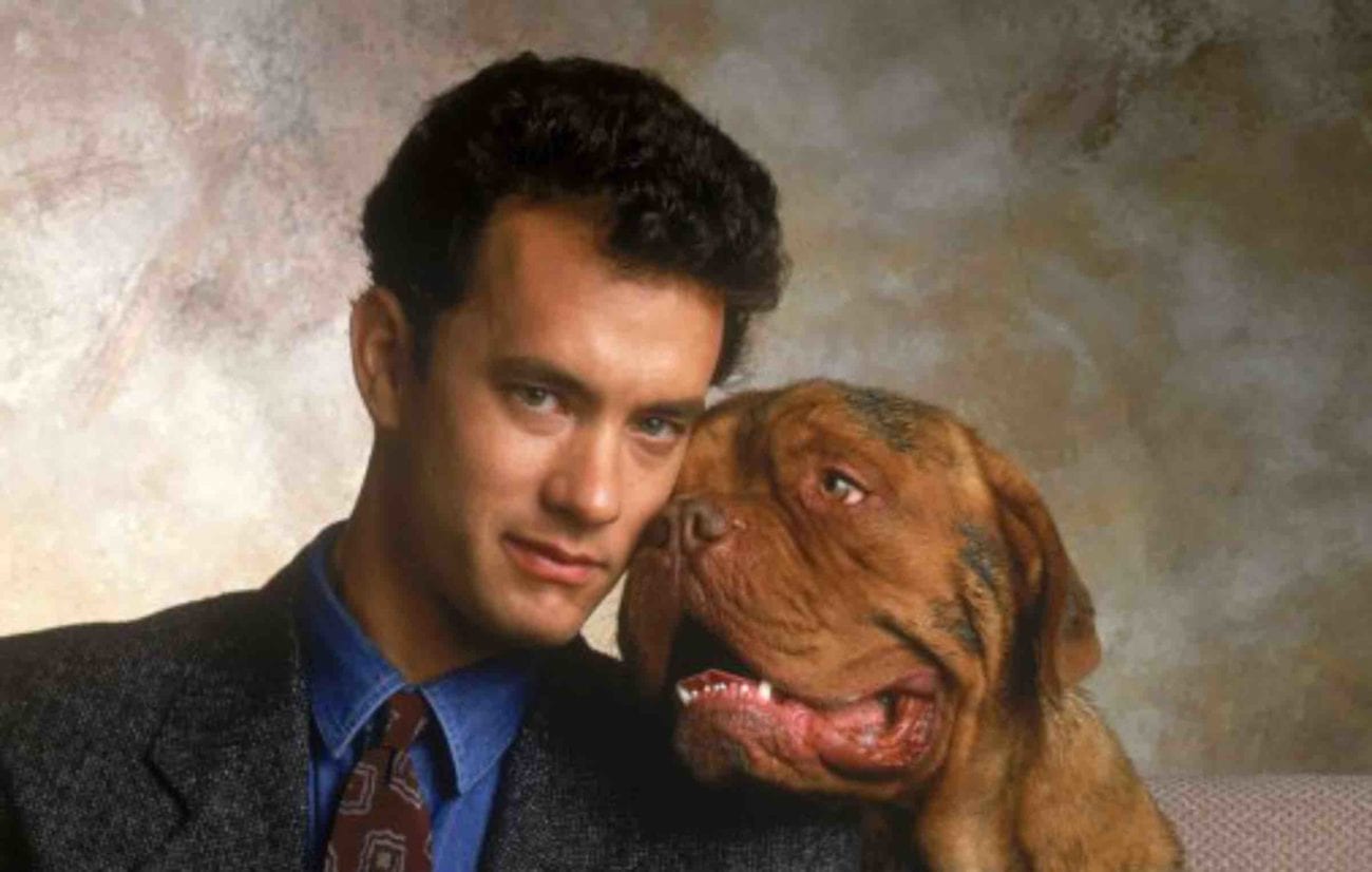 Do you like dogs solving crime but aren’t in the mood for some 'Scooby Doo'? Here's everything we know about the 'Turner and Hooch' reboot.