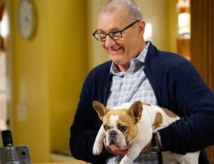 'Modern Family'’s Stella the dog has passed on. The cast mourns the death of Beatrice, as do we. Let's celebrate Stella's best moments.