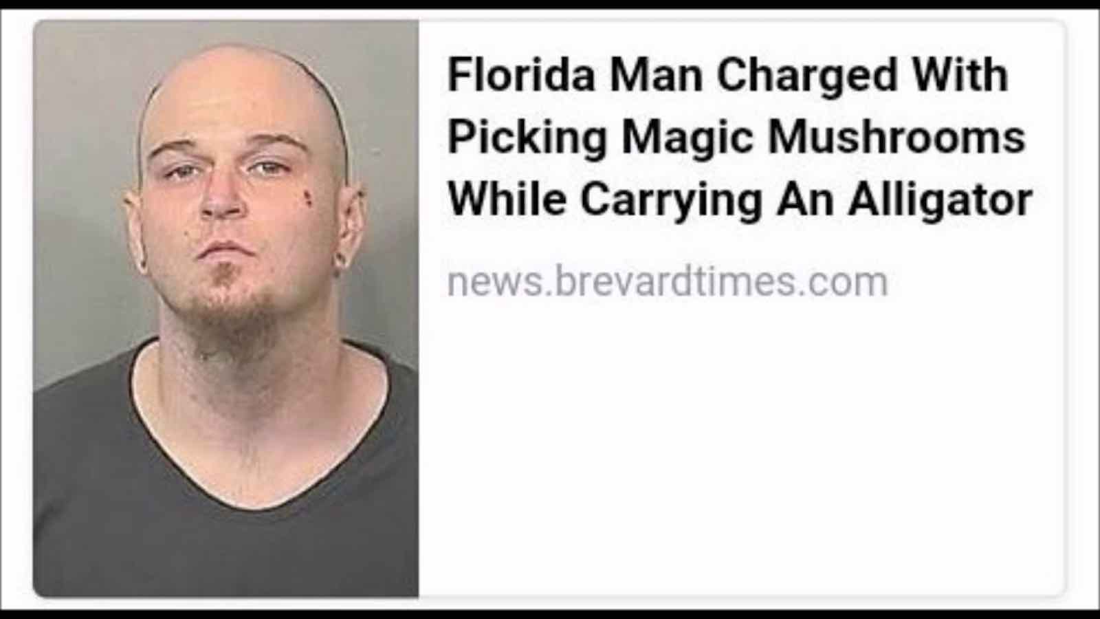 Best Memes About Florida Man Florida Man Memes Hot Sex Picture