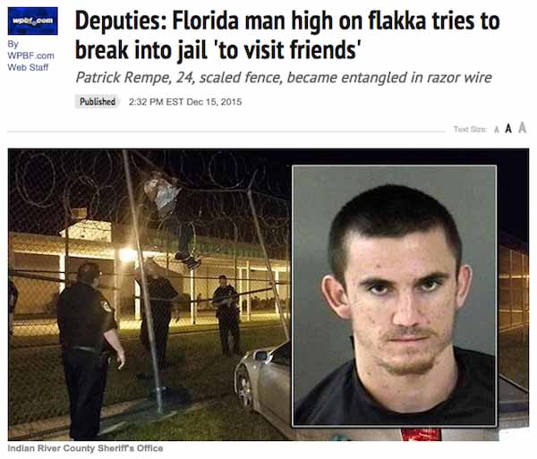 The most scandalous Florida Man memes to get through quarantine – Film