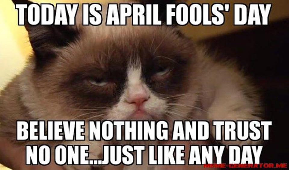 Funny Cat Memes For Kids Clean - Cat Memes Clean For Kids 6 King Tumblr ...