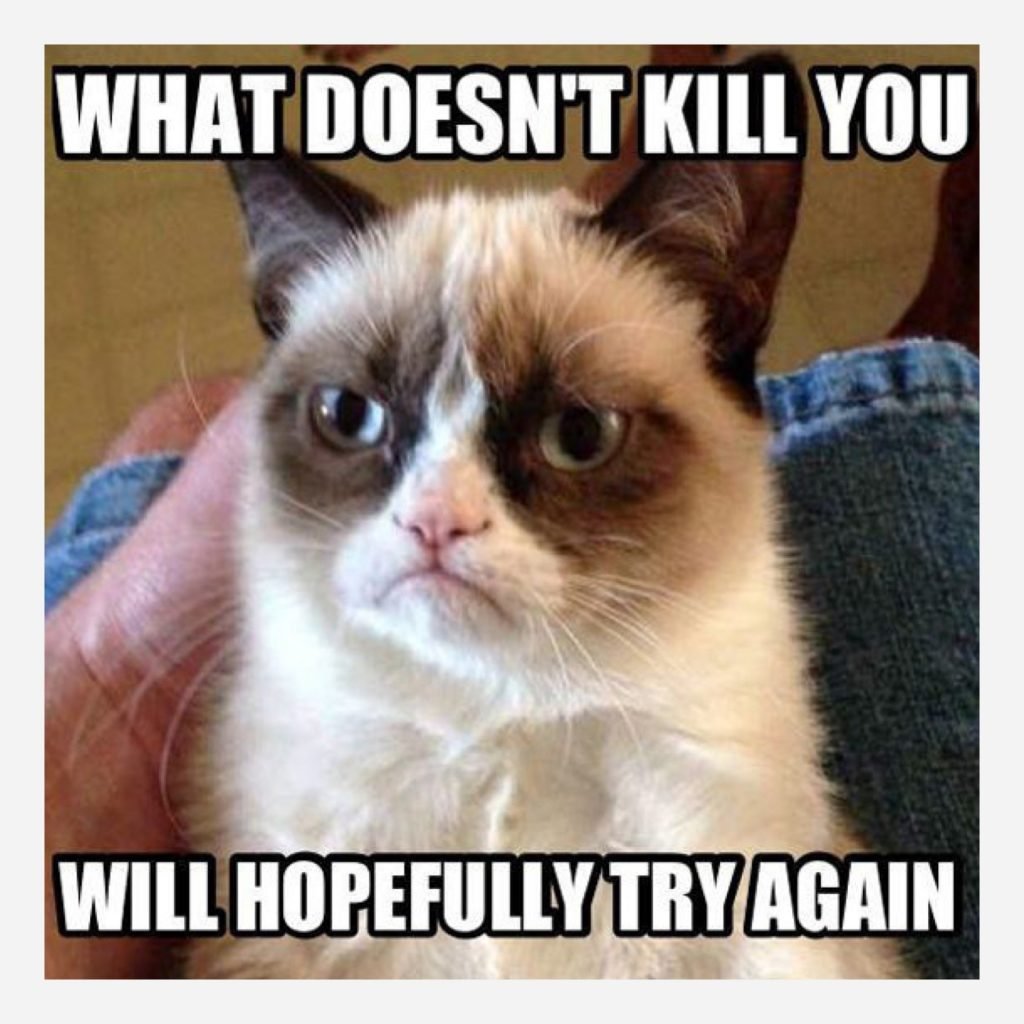 Check Out These Funny Cat Memes To Help You Through Quarantine Film Daily