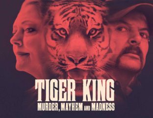 If you’re curious, but unsure if you want to watch Netflix’s 'Tiger King', then here is a beginner guide to help you out.