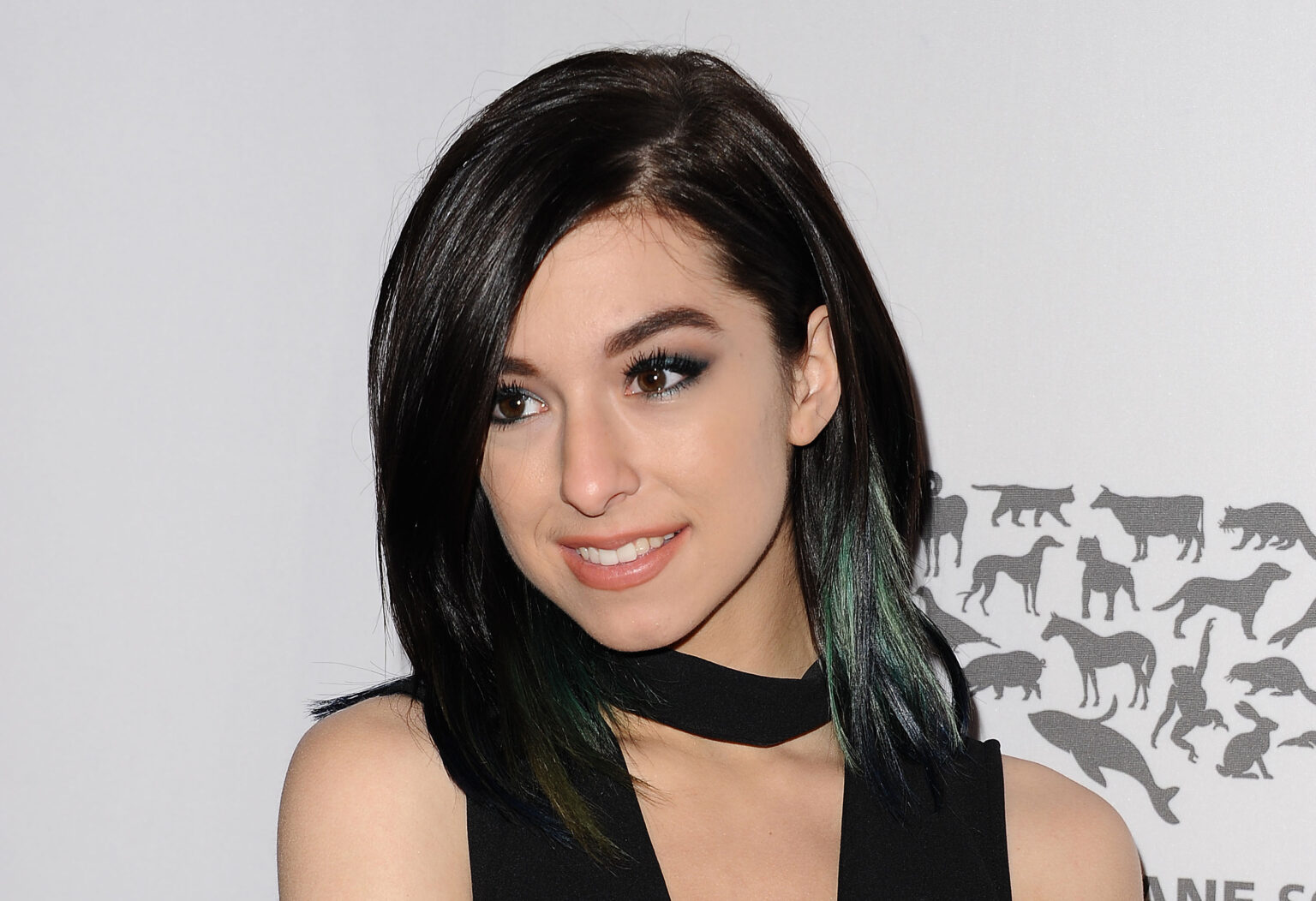 A talented singer, lost to the world. Christina Grimmie lost her life in 2016 thanks to an obsessive fan turned into an enemy.
