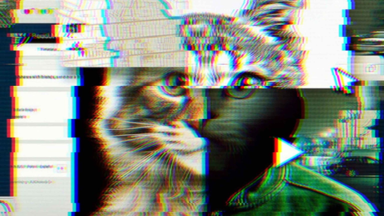 One of the big Netflix docuseries making a resurgence is 'Don’t F*** with Cats: Hunting an Internet Killer'. Here's why you shouldn't F with cats.