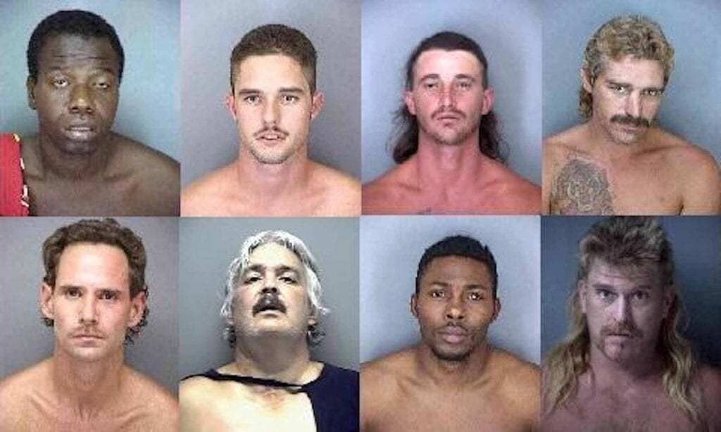 To honor our favorite meme, the Florida Man/Woman, we’ve gathered another grand collection of highlights. Here are our favorite Florida Man memes.