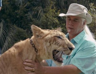 Netflix’s latest binging addiction 'Tiger King' has brought a lot of strange topics to light. Does 'Tiger King' glorify animal cruelty? Let's find out.