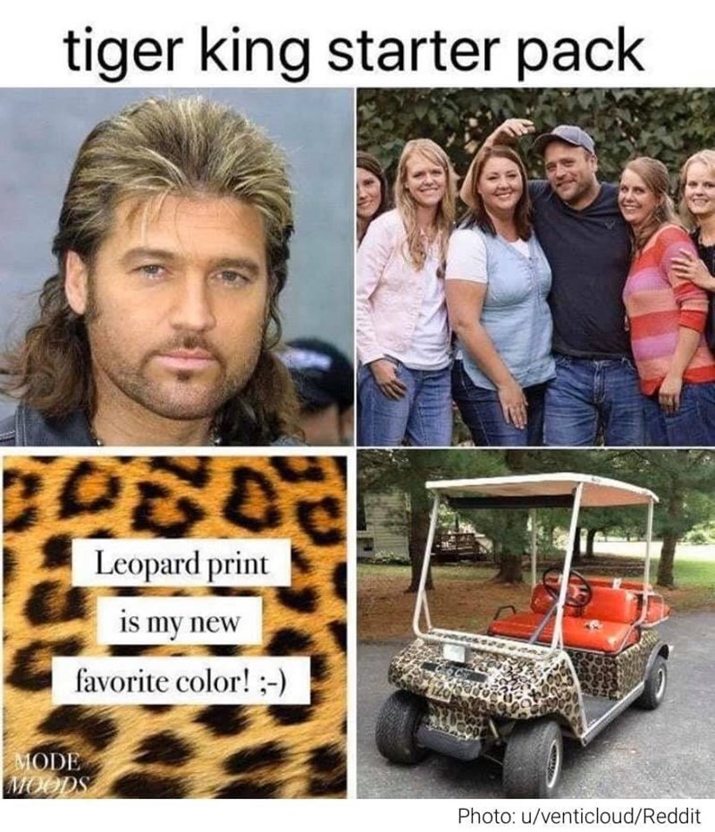 Can T Get Enough Tiger King These Memes Should Help Your Obsession