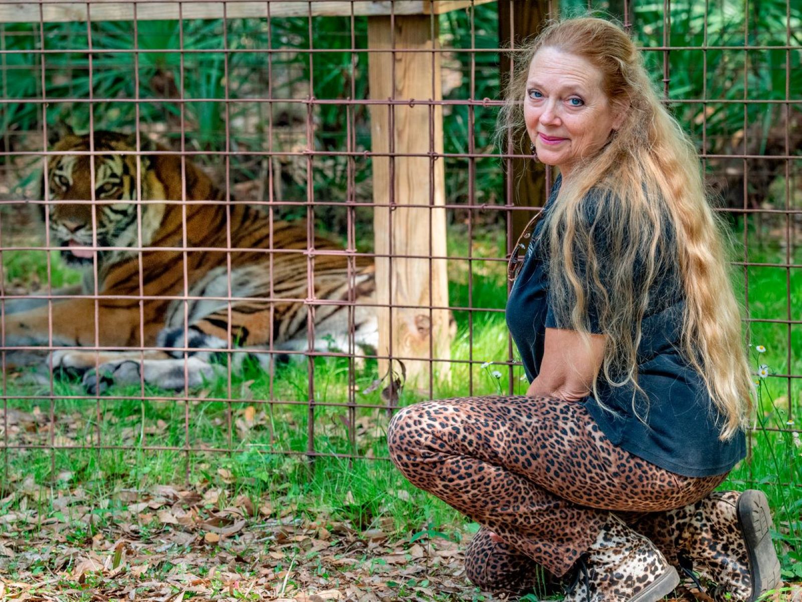 You know her, you probably hate her, but do you really know Big Cat Rescue? Here's everything you need to know about Carole Baskin's company. 