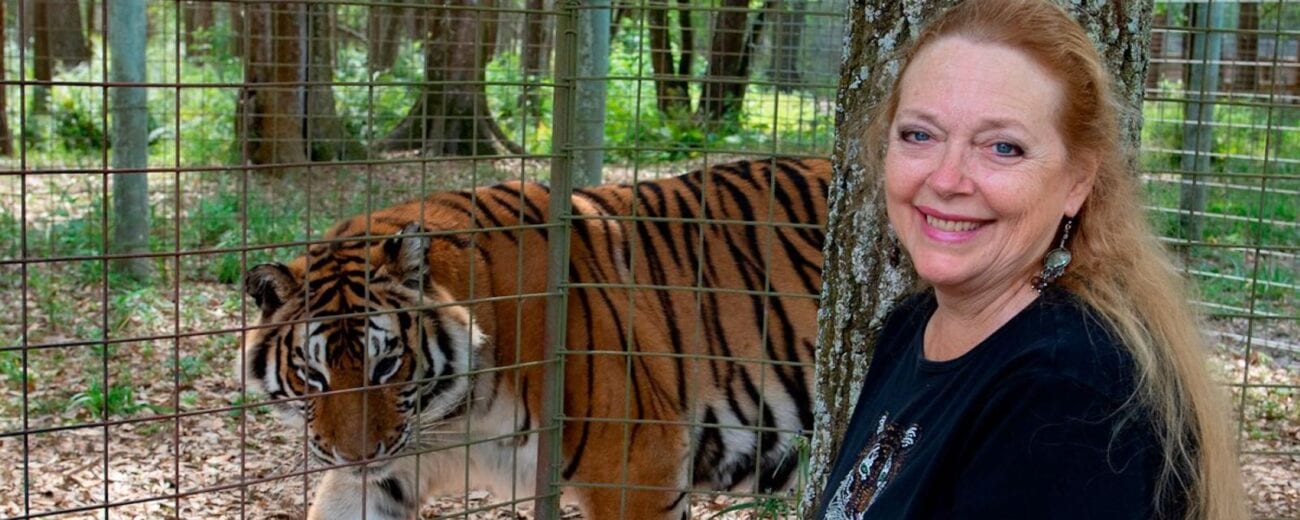 You know her, you probably hate her, but do you really know Big Cat Rescue? Here's everything you need to know about Carole Baskin's company.