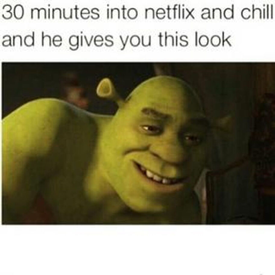 Live vicariously: All the best Netflix and chill memes around – Film Daily