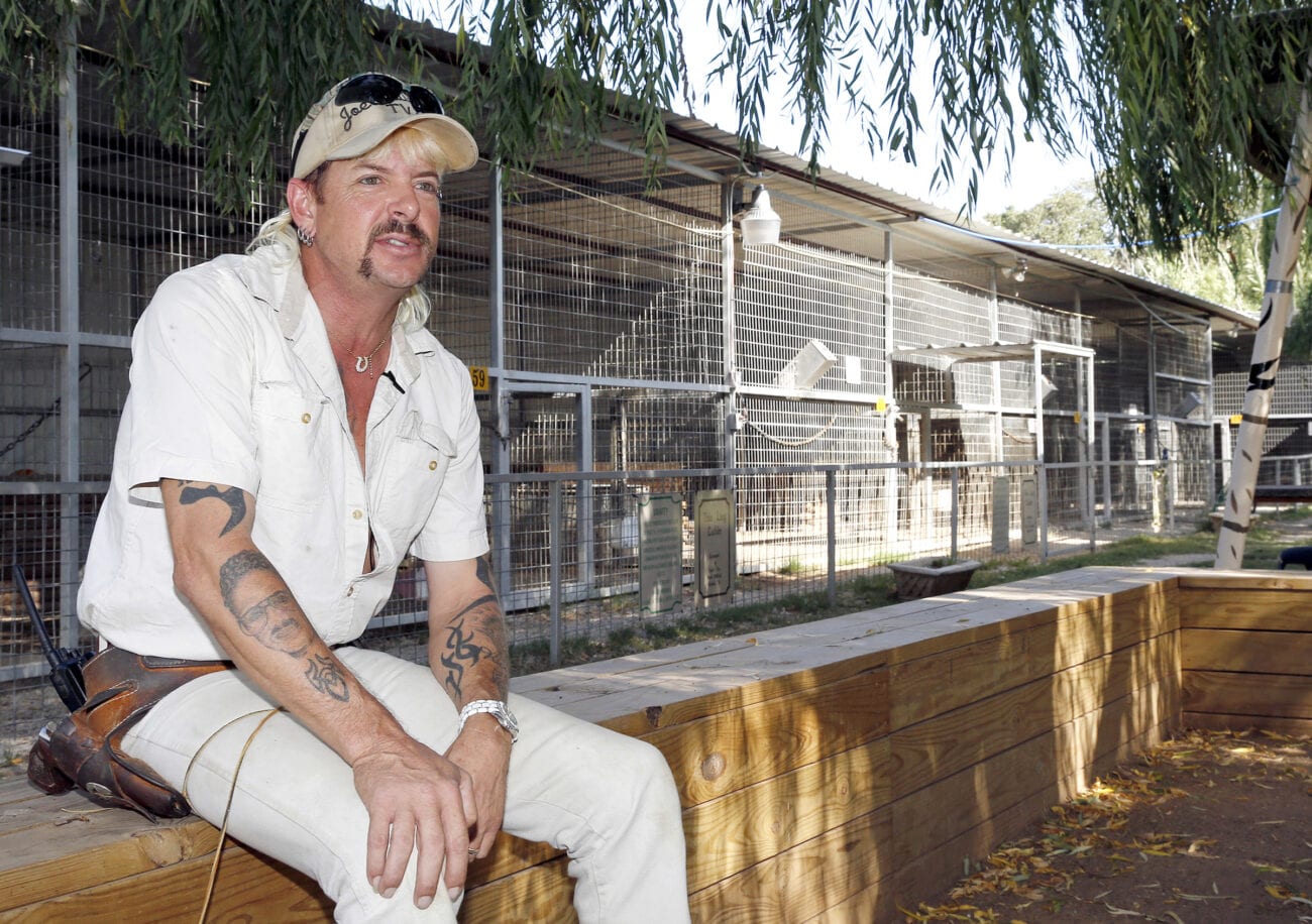 After binging the riveting documentary series 'Tiger King', you may be left in a world of wonder. Here are some questions we are asking about Joe Exotic.