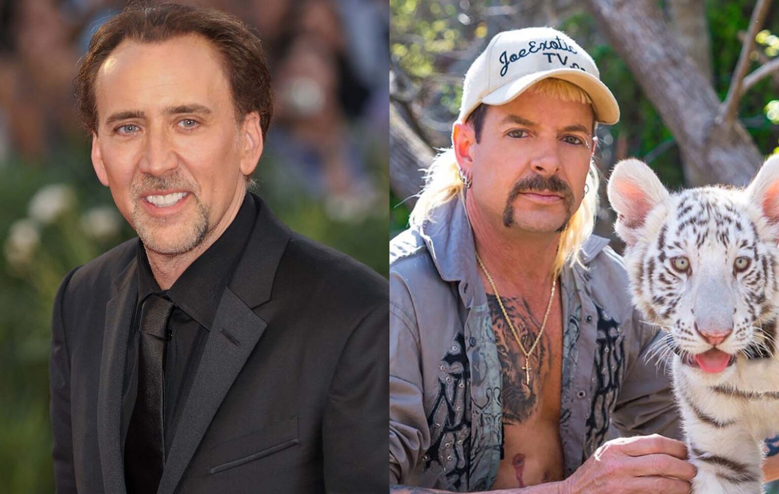 Nicolas Cage will play Joe Exotic in the upcoming scripted series based on 'Tiger King'. Here are some hilarious memes to celebrate the occasion.
