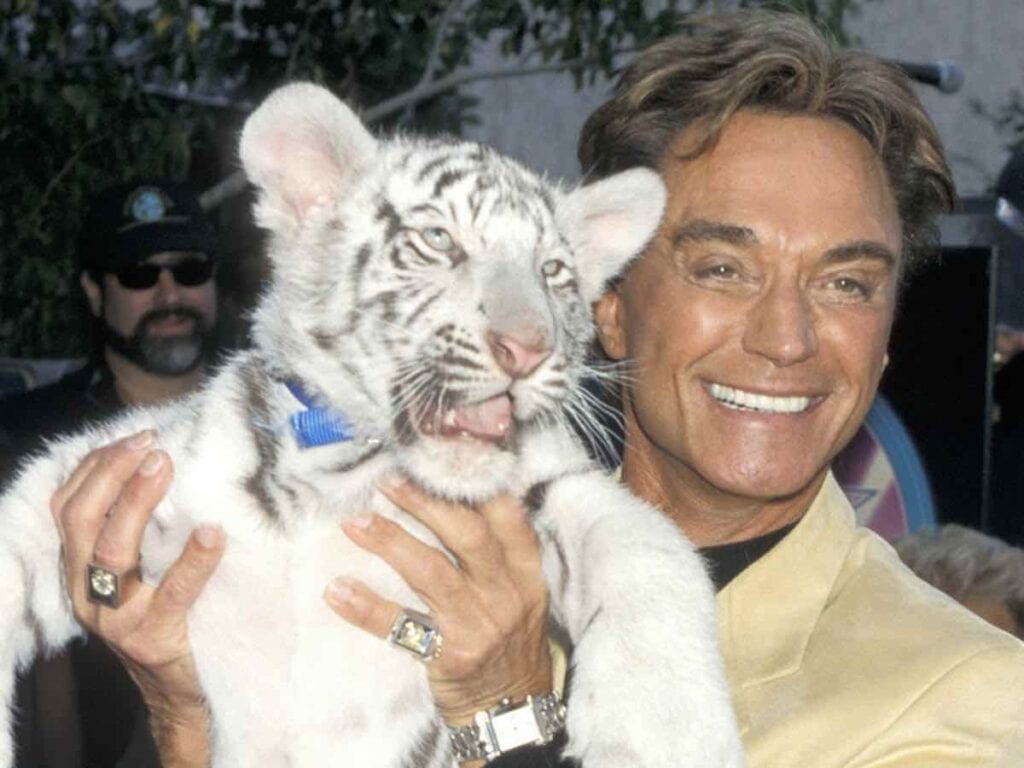 It seems the next part of the 'Tiger King' saga will feature the magician duo, Siegfried & Roy. Here's everything you need to know.