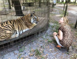 Carole Baskin and BCR are finally getting their goal: Joe Exotic's zoo. Here's everything you need to know about the court ruling.