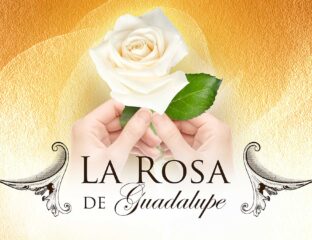 'La Rosa de Guadalupe' translates to “the rose of Guadalupe”. Here's why 'La Rose de Guadalupe' should be your next binge.