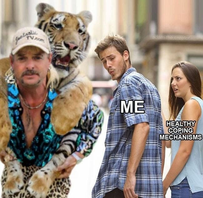 As we begin to transition back into the "normal" world, 'Tiger King' is still there to provide us some relatable memes about everything going down.