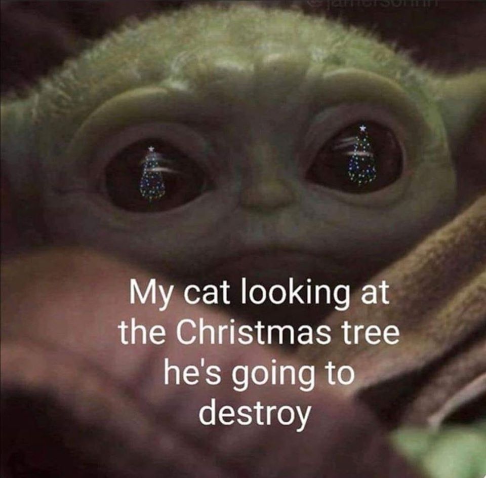 Baby Yoda Memes These Are The Only Memes You Need In Your Life Film Daily