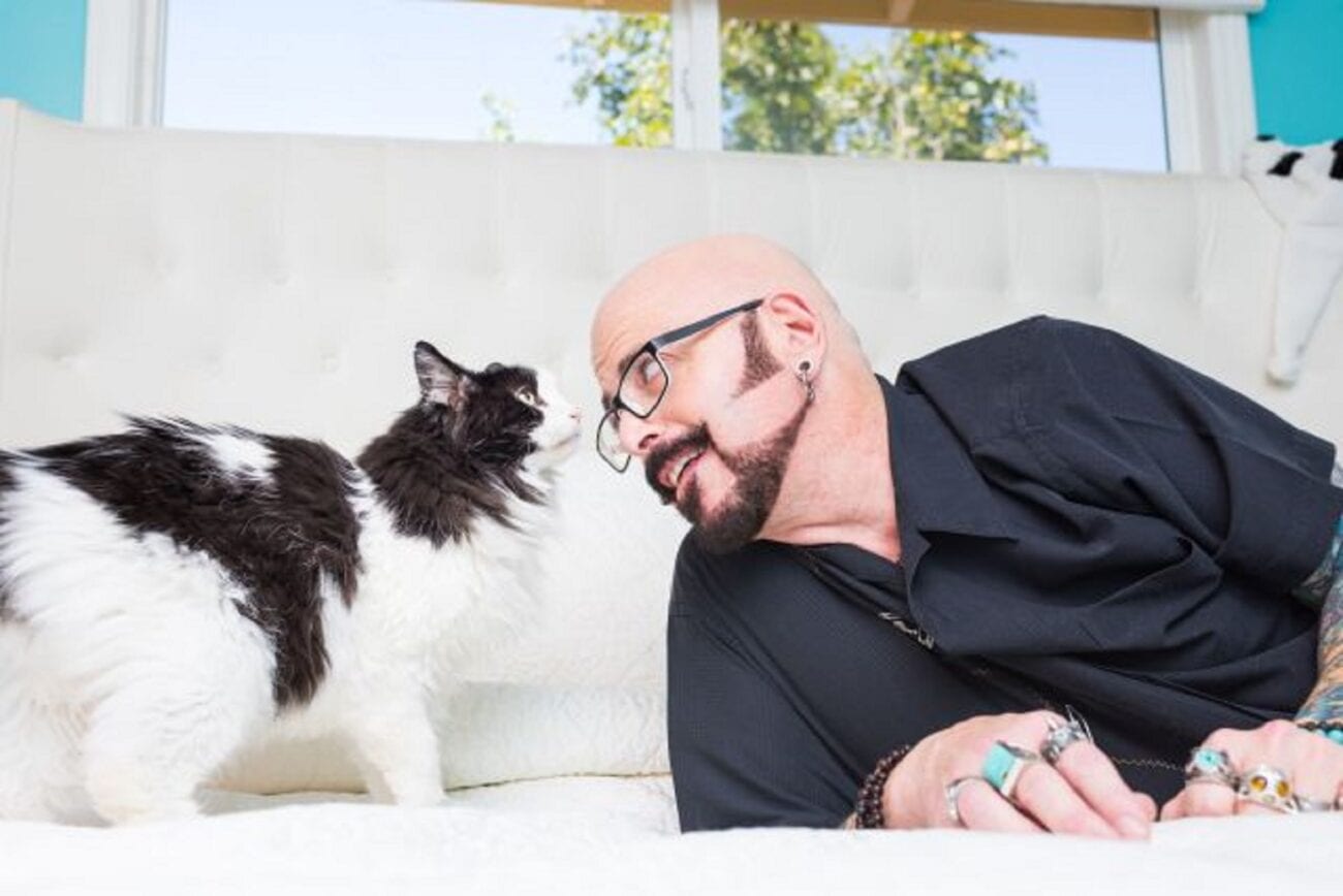 The 'My Cat From Hell' host and cat behaviorist lets viewers know the best ways to keep Kitty calm during this stressful time. Here's how.
