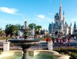 Ultimately, the choice is up to you on whether or not going to Disney World Parks. Here's what there is to know about the reopening.