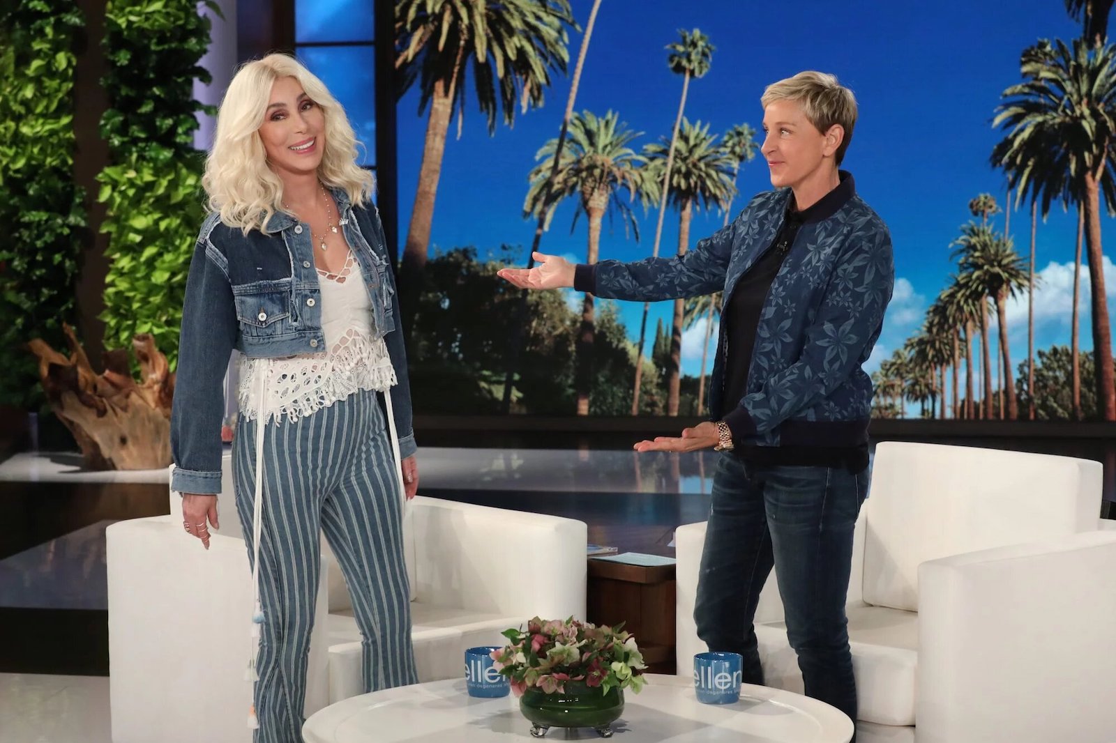 Guests who thought Ellen DeGeneres was mean and clapped back – Film Daily