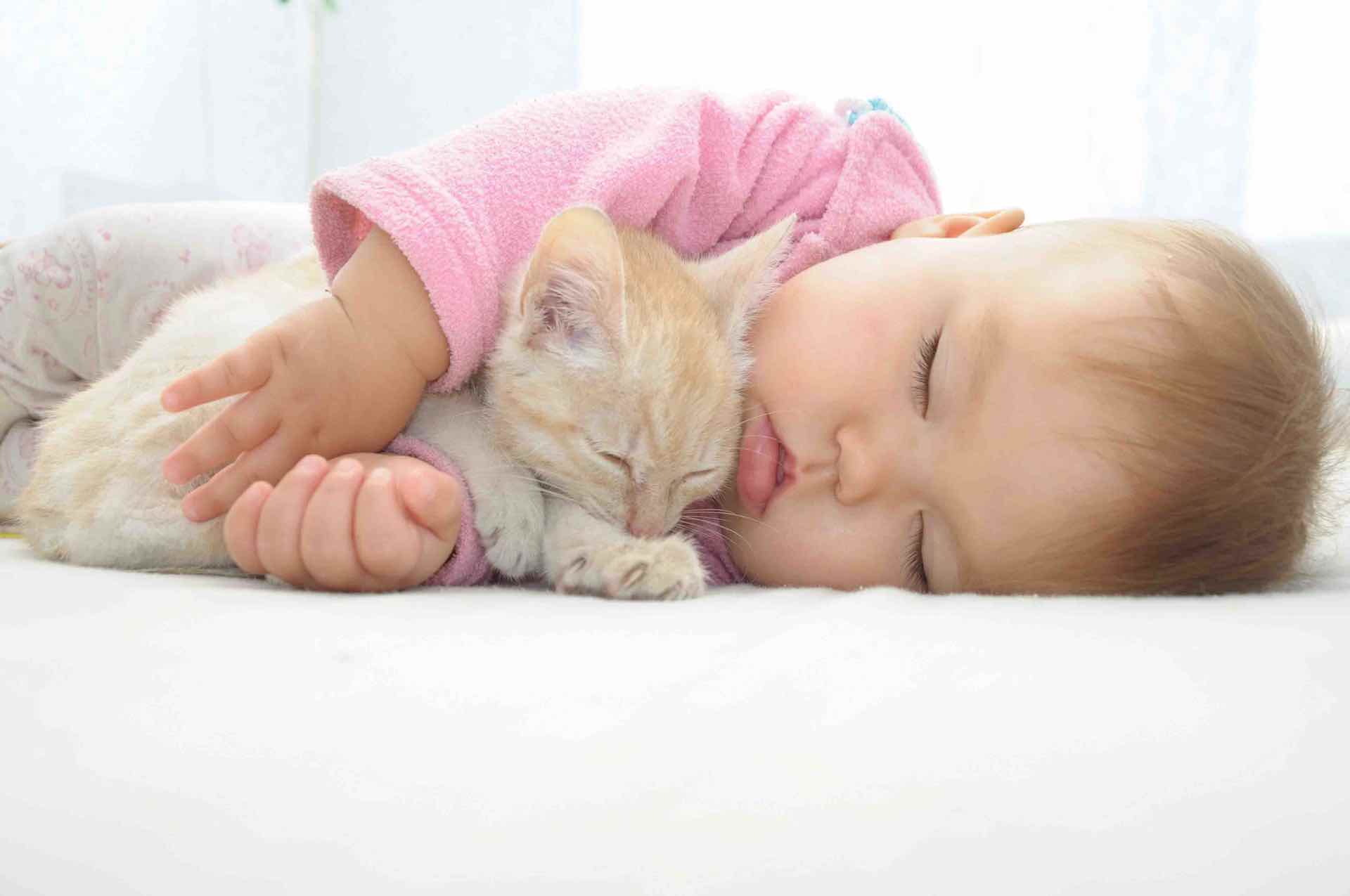 These videos of babies with kittens 