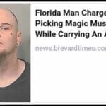 Has 2020 got you down? Florida Man and Florida Woman went stir-crazy this year, too. Read the craziest Florida Man headlines from 2020.