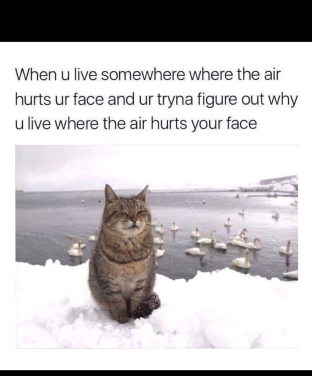 We're already dreading winter: Join us with these cold weather memes