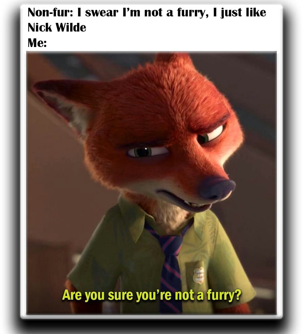 Weird Furry Memes