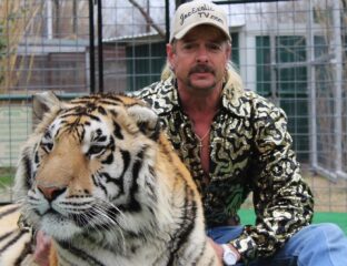 NBC is working on a scripted version version of the Joe Exotic and Carole Baskin story; everyone is wondering who will play the Tiger King.