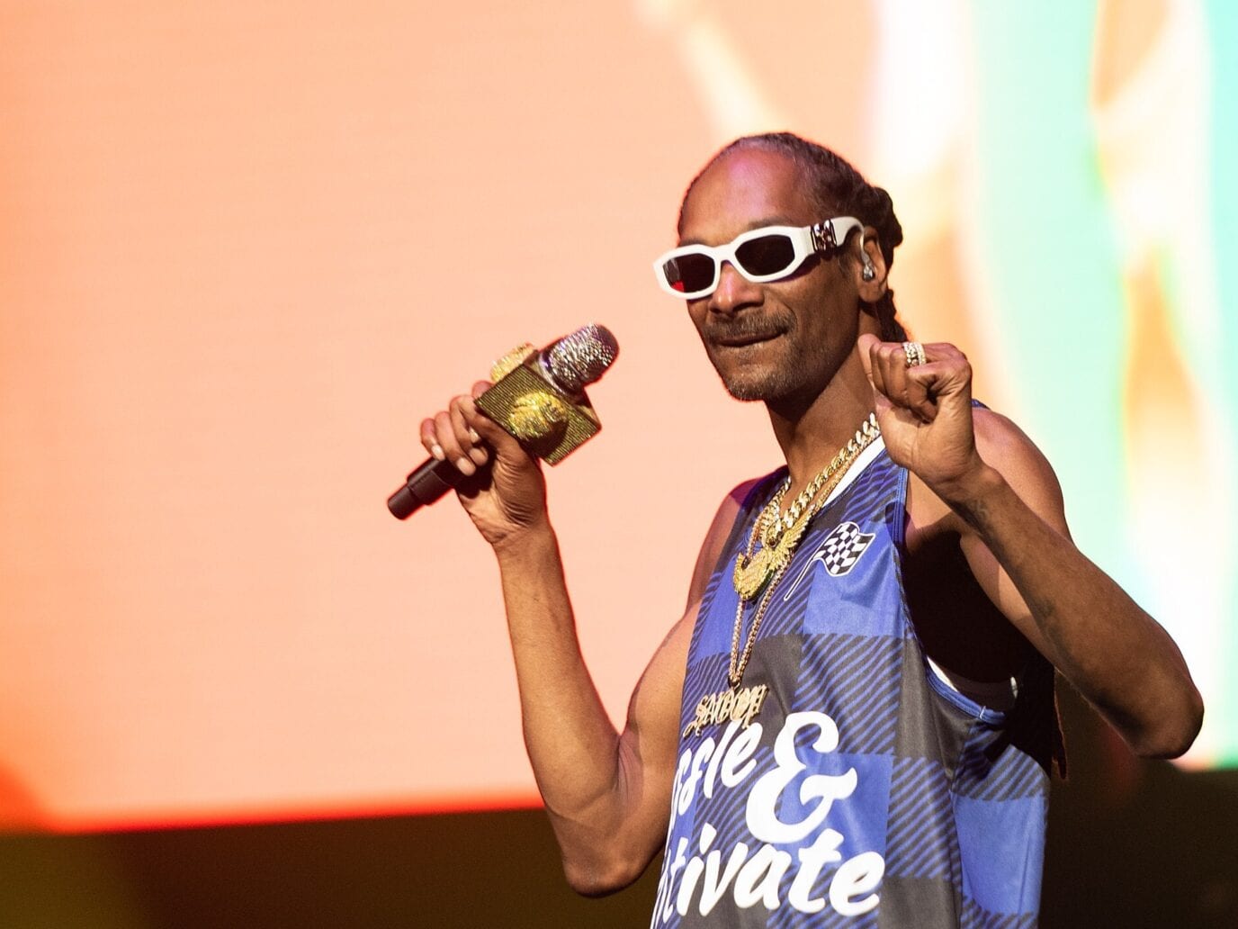 Snoop Dogg's net worth Here are all of his business ventures Film Daily