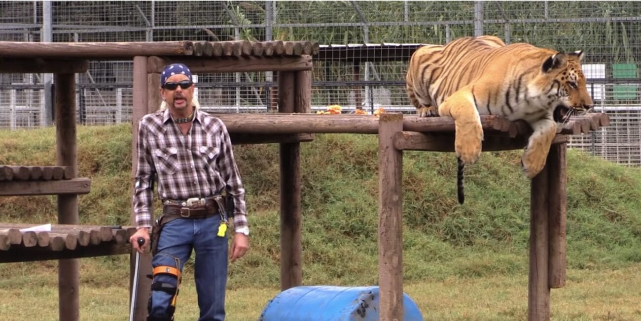 'Tiger King' was the first pandemic obsession. What's going to happen to the zoo now? Will Netflix use the abandoned zoo as a film set?