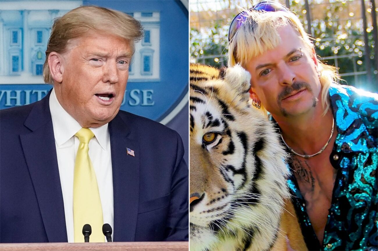 Is Joe Exotic actually getting pardoned? Discover the latest developments in the 'Tiger King' star's case.
