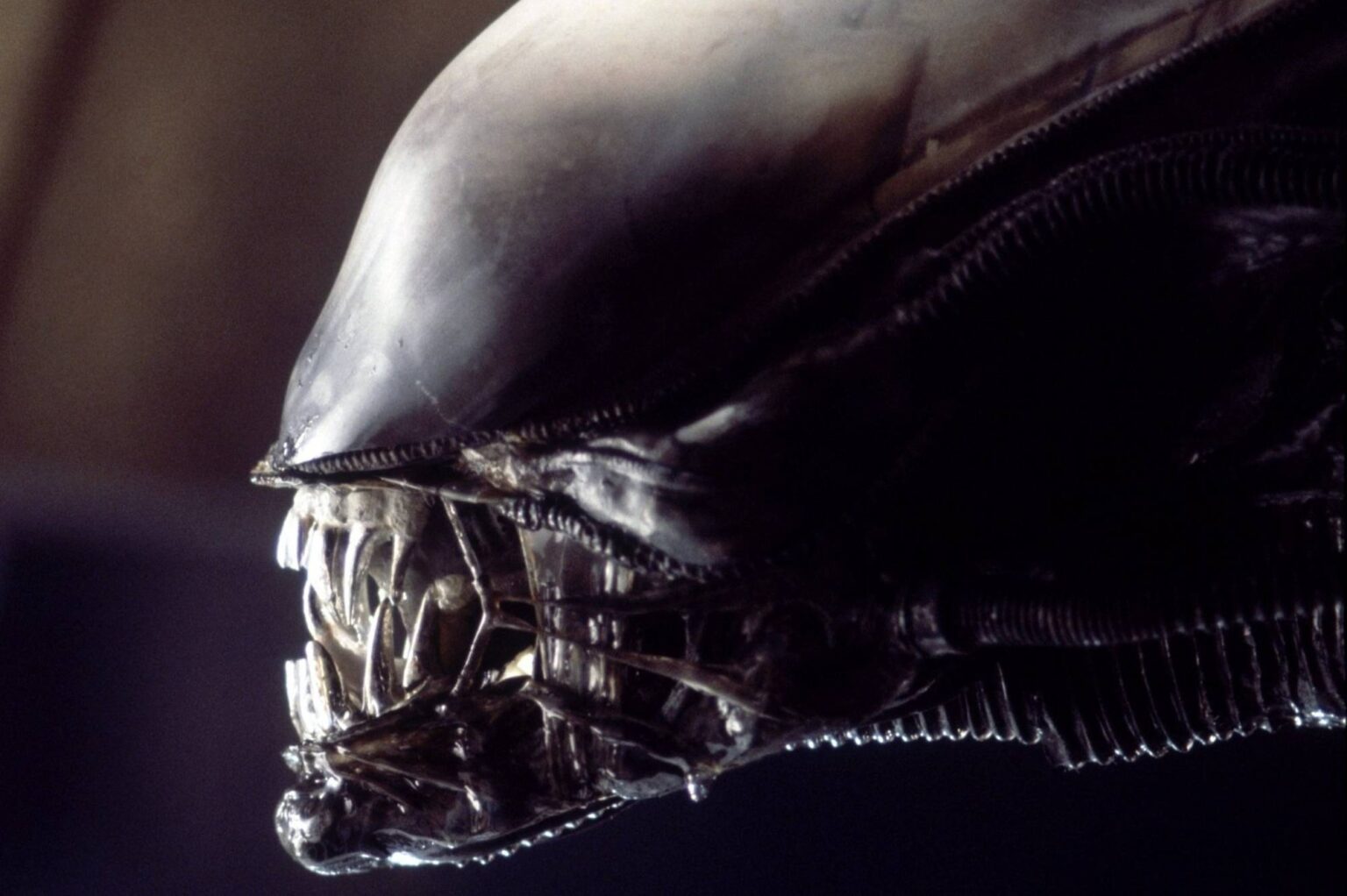If you're a fan of the 'Alien' franchise, then you'll want to hear this news about the upcomming movies being planned.