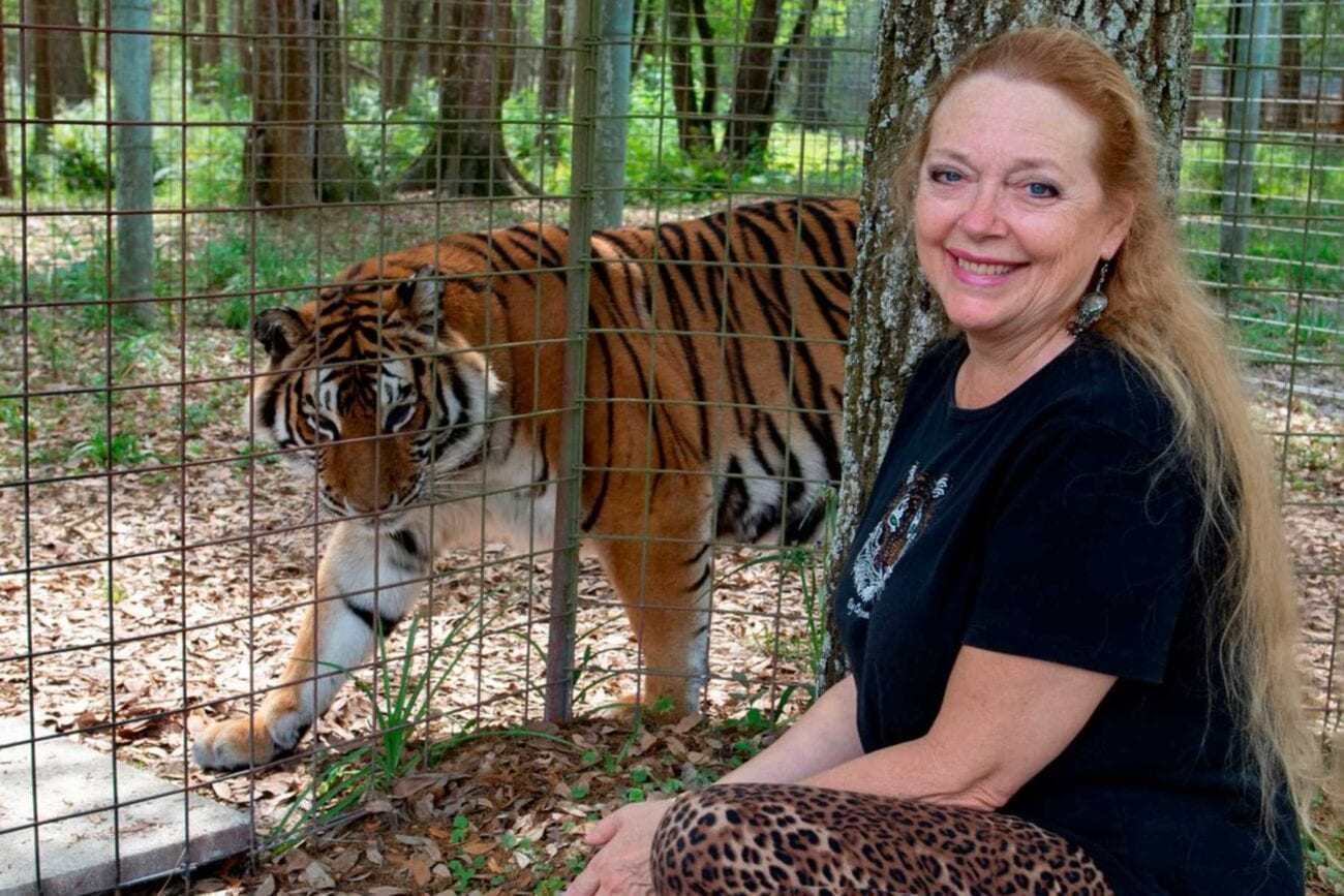 Carole Baskin is worried about how she'll be portrayed in scripted versions of 'Tiger King'. Here's why she's asking to consult on the series.