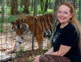 Carole Baskin is worried about how she'll be portrayed in scripted versions of 'Tiger King'. Here's why she's asking to consult on the series.