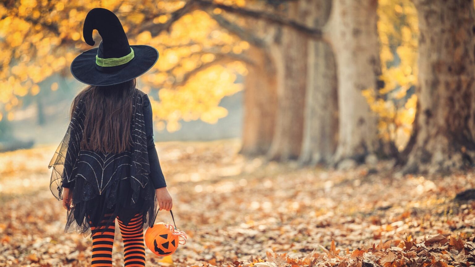 Looking for a quick and easy Halloween costume for this year? We have some suggestions for simple and fun outfits you can put together.