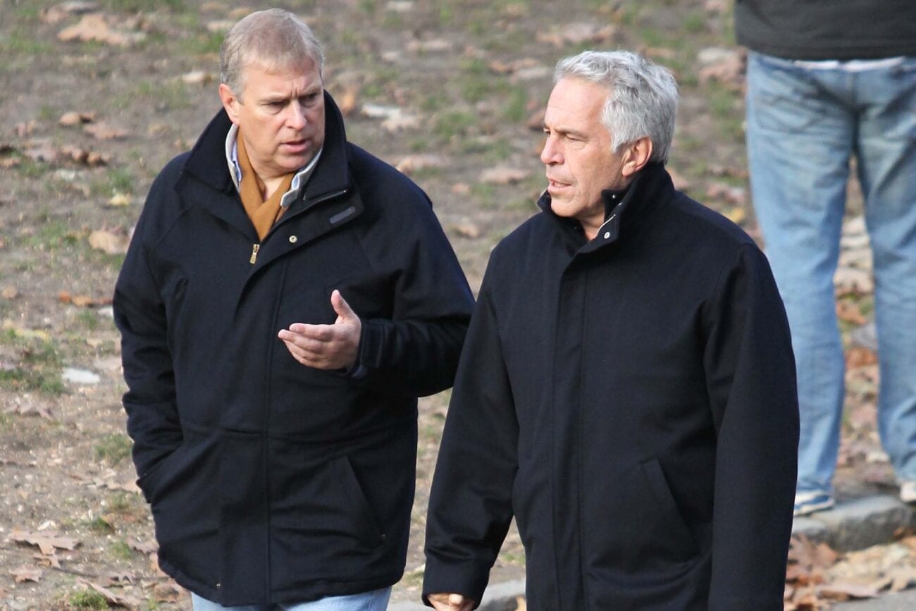 It's well known that Prince Andrew had a friendship with Jeffrey Epstein, but why would the royal have been interested in the first place?