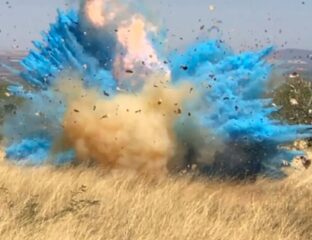 Is it a boy? A girl? Who cares about the gender of a baby when it causes a wildfire. Here are the very best memes roasting the gender-reveal wildfire.