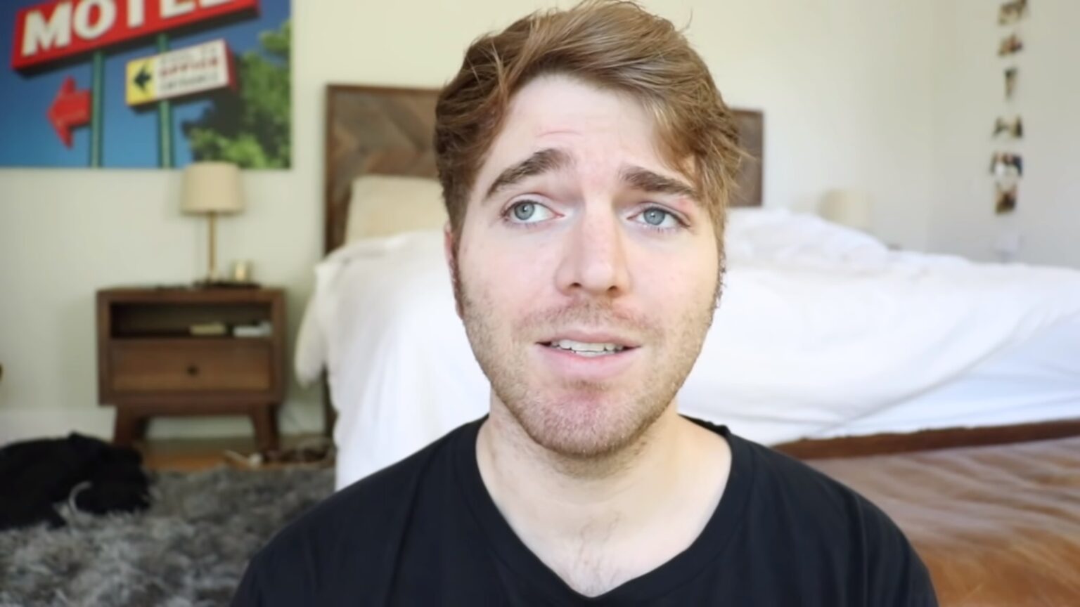Looks like Shane Dawson is still on a mission to increase his net worth. Here's Dawson's recent bid for a higher net worth.