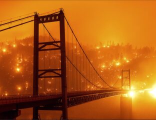 California is burning – as are Northern neighbors Oregon, & Washington. Why is this happening and what can we do about wildfires?