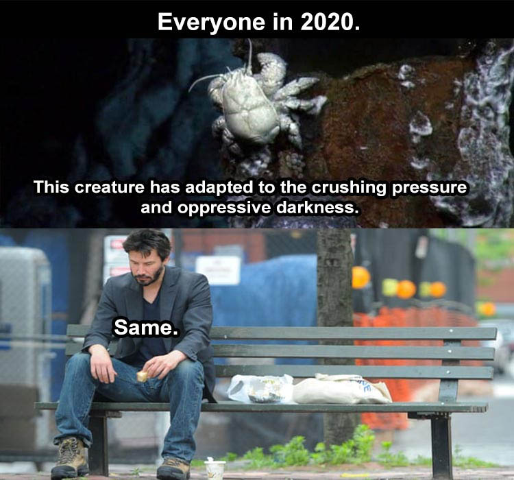 2020 Has Been An Awful Year These Dark Humor Memes Prove It Film Daily